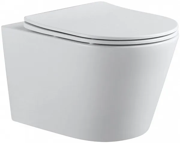 Унитаз Aquanet Atago 2.0 W 243549 подвесной безободковый с микролифтом фото 1