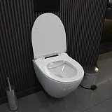 Унитаз подвесной Teymi Milana Pro W00158 подвесной безободковый с микролифтом фото 3
