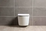 Унитаз Aquatek Оберон AQ1363W-00 подвесной с микролифтом фото 3