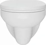 Унитаз подвесной Teymi Mia W00786 подвесной безободковый с микролифтом фото 7