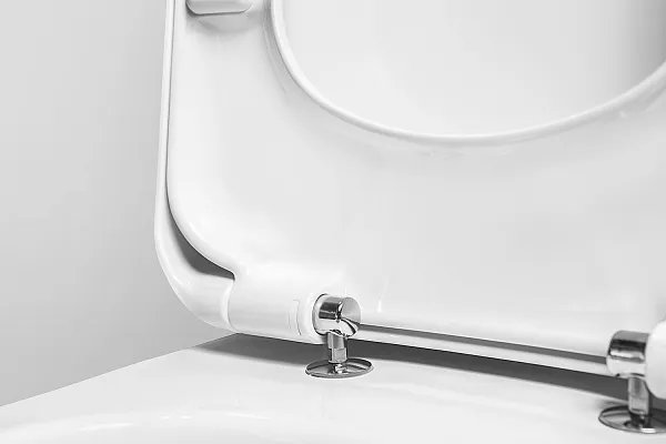 Унитаз-компакт Am.Pm Inspire C508607WH напольный фото 6