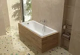 Чугунная ванна Wotte Line 170х70 БП-э00д1467 фото 3