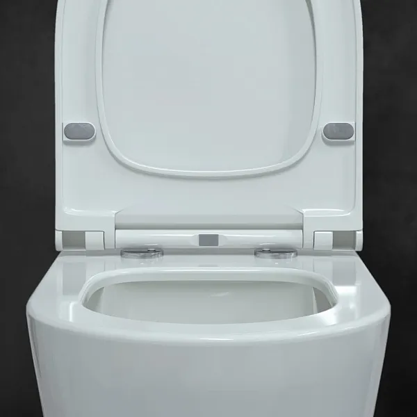 Унитаз Berges Wasserhaus Mascon Rimless 082128 подвесной безободковый с микролифтом фото 6