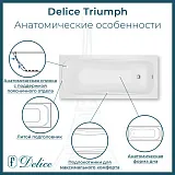 Ванна из искусственного камня Delice Triumph DLR330010-G фото 2