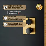 Встраиваемый смеситель PAINI Domus 18PJ691PZ фото 2