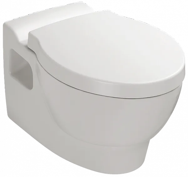 Крышка-сиденье Jacob Delafon Ove E70005-00 с микролифтом фото 2