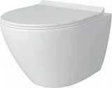 Унитаз подвесной Teymi Milana Pro W00158 подвесной безободковый с микролифтом фото 6