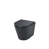 Унитаз Iddis Calipso CALR3BMi25 подвесной безободковый с сиденьем микролифт фото 1