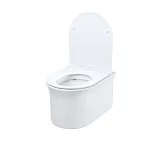 Унитаз Iddis Sena SENRDSEi25 подвесной безободковый с сиденьем микролифт фото 2
