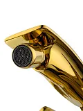 Смеситель для биде Wonzon & Woghand SHAKESPEARE WW-655001-DG фото 4
