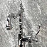 Смеситель для кухонной мойки PAINI Duomo 88CR572LLKM фото 7