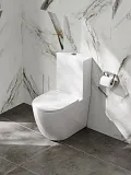 Унитаз-компакт Watersense Milana Vortex W00744 напольный безободковый с микролифтом фото 2