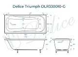 Ванна из искусственного камня Delice Triumph DLR330010-G фото 1