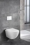 Унитаз Azario AZ-0093UQ3 подвесной безободковый с сиденьем микролифт фото 13