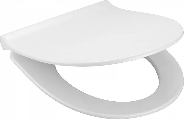 Крышка-сиденье Roca Victoria 801392002 с микролифтом фото 1