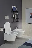 Крышка-сиденье Jacob Delafon Rodin+ E23280-00 с микролифтом фото 5