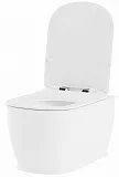 Унитаз Lavinia Boho Bell Pro 3301002R подвесной безободковый с микролифтом фото 2