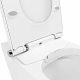 Унитаз Lavinia Boho Smart V-Clean 3359102R подвесной безободковый с микролифтом фото 6
