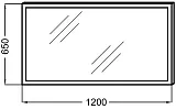 Зеркало Jacob Delafon Parallel EB1444-NF 120 см фото 3