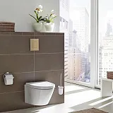 Смывная клавиша для унитазов Grohe Skate Cosmopolitan 38732GN0 фото 2