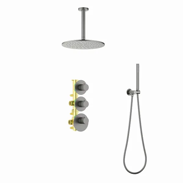 Душевой комплект TIMO Saona SX-2399/18SM фото 1