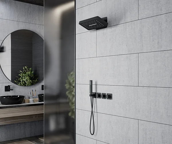 Душевой комплект TIMO Petruma SX-5249/03SM фото 3