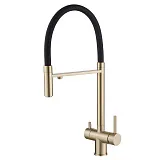 Смеситель для кухонной мойки ABBER Wasser Kreis AF81141G фото 1