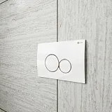Кнопка смыва Point Виктория PN44061WC двухцветная: белая, хром фото 3