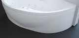 Экран для ванны Aquatek Альтаир 160 см Альтаир 160 см фото 2