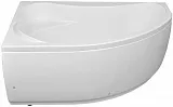 Экран для ванны Aquanet Capri 160 см 176554 левый фото 3