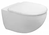Крышка-сиденье Duravit Architec 69690000 с микролифтом фото 2