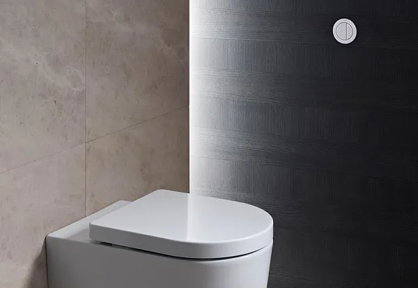 Смывная клавиша для унитазов Geberit Type 01 116.050.11.1 фото 2