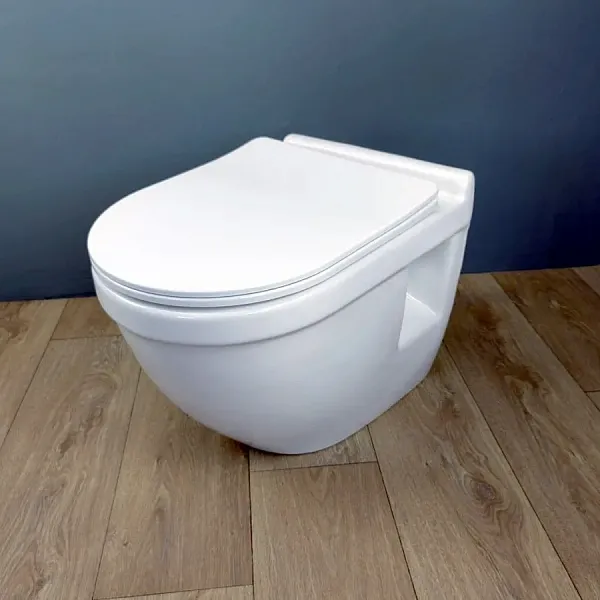 Унитаз подвесной Teymi Nancy Pro W00162 подвесной безободковый с микролифтом фото 10