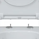 Унитаз Berges Wasserhaus Mascon Rimless 082128 подвесной безободковый с микролифтом фото 3