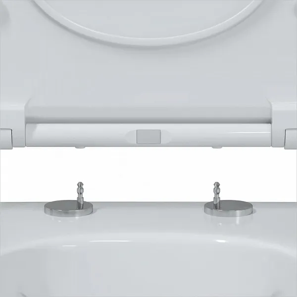 Унитаз Berges Wasserhaus Mascon Rimless 082128 подвесной безободковый с микролифтом фото 3