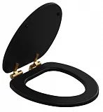 Крышка-сиденье Caprіgo Armonia KFE-AB-B032 с микролифтом фото 2