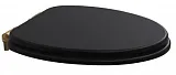 Крышка-сиденье Caprіgo Armonia KFE-AB-B032 с микролифтом фото 1