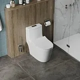 Унитаз-компакт Teymi Rita W00121 напольный безободковый с микролифтом фото 2