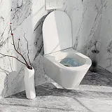 Крышка-сиденье Kerama Marazzi Plaza Modern PLMR1.seat.02\WHT с микролифтом фото 4