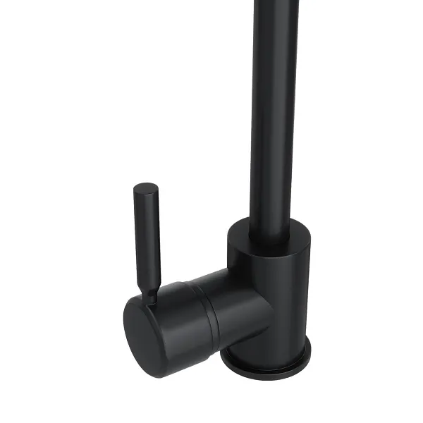 Смеситель для кухонной мойки Watersense Eva W00358 фото 3