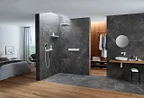 Термостат Hansgrohe RainSelect 15381700 для душа фото 2