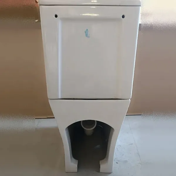 Унитаз-компакт Watersense Eva Pro W00138 напольный безободковый с микролифтом фото 13