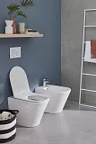 Унитаз Jacob Delafon Rodin+ EDAA102-00 приставной безободковый фото 3