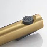 Гигиенический душ Shevanik S99 S9905G-1 фото 7