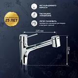 Смеситель для кухонной мойки PAINI Cox 78CR576LMKM фото 2