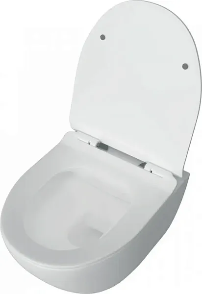 Унитаз подвесной Teymi Milana Pro W00158 подвесной безободковый с микролифтом фото 8