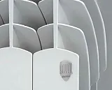 Радиатор Royal Thermo Revolution 4 секций RTRB50004 фото 2