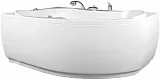 Экран для ванны Aquanet Capri 170 см 155531 левый фото 2