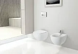 Унитаз Geberit Acanto 500.600.01.2 подвесной безободковый фото 3