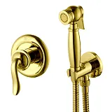 Гигиенический душ Lemark Brava LM4719G  со смесителем фото 1